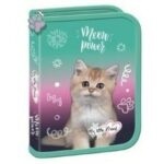 Penar 2 extensii My little friend Kitty party