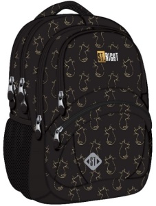 Rucsac ergonomic Golden Cats 4 fermoare