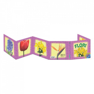 Flori