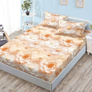 Чаршаф с ластик 160x200 см + 2 калъфки за възглавница 50x70 см SPR-JE-12