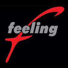 Feeling