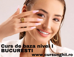 CURS DE BAZA NIVEL 1