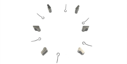 Set FHB PARTS-Spring-6pc + Pawls-6pcs ( B2 6-pawls) NOVATEC