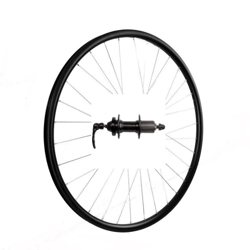 Roata Spate 29"(622x19C) SXT Basic Only-Capsata-36H-FD Casetat