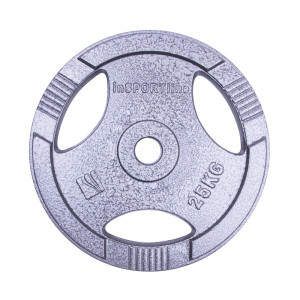 Greutate otel inSPORTline Hamerton 25 kg