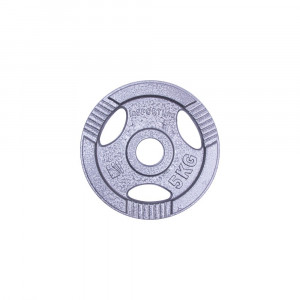 Greutate otel inSPORTline Hamerton 5 kg