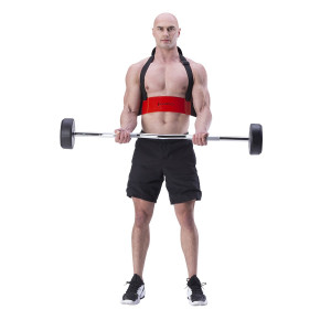 Ham biceps HMS ABX02 - Img 2