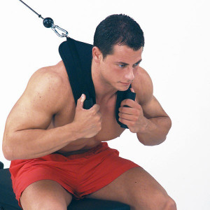 Ham AB ACH-18 Body-Solid - Img 2
