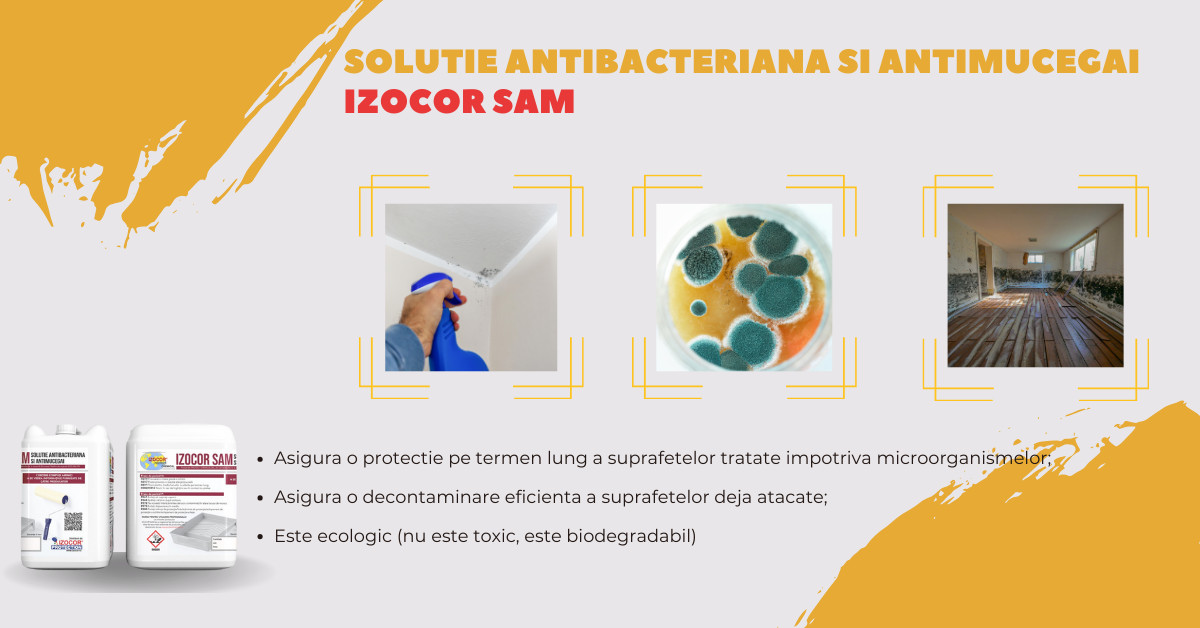 Cum să previi apariția mucegaiului în locuința ta și să menții un mediu sănătos cu IZOCOR SAM