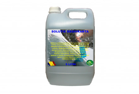Solutie degivranta ARCA LUX , bidon 5 L
