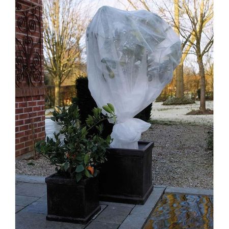 Nature Husă anti-îngheț pentru plante, fleece, alb, 2 x 10 m, 6030118