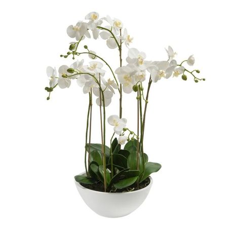 Emerald Orhidee artificială Phalaenopsis, alb, 80 cm 20.335C