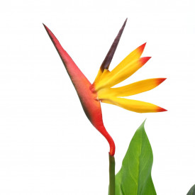Plantă artificială Strelitzia Reginae Pasărea paradisului 55 cm - Img 2