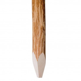 Stâlpi ascuțiți pentru gard, lemn de alun, 4 buc., 120 cm - Img 2