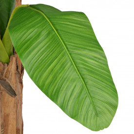 vidaXL Bananier artificial cu ghiveci, 250 cm, verde - Img 2