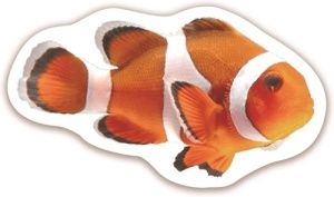 Carte cu abtibilduri - Animalute - Img 3