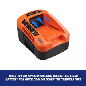 Redback EC20 Incarcator acumulatori 40V 2A - Img 3