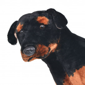 Jucărie de pluș câine rottweiler, negru și maro XXL - Img 3