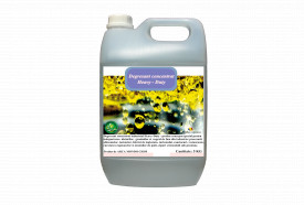 Degresant Heavy-Duty, concentrat Arca Lux, Bidon 5 KG