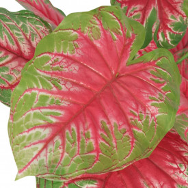Plantă artificială Caladium cu ghiveci, 70 cm, verde și roșu - Img 2