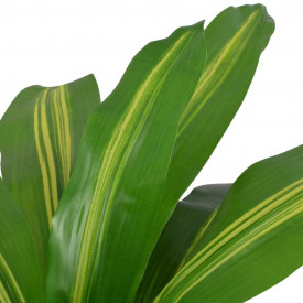 Plantă Dracena artificială cu ghiveci, 90 cm, verde - Img 2
