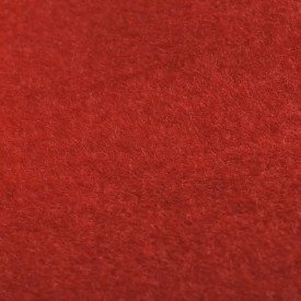 Covor Roșu 1 x 10 m Foarte Greu 400g/m² - Img 5