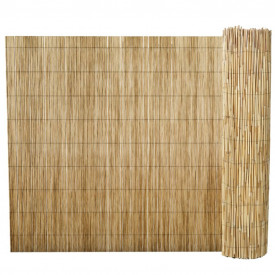 Gard din trestie 50 x 500 cm