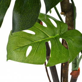 vidaXL Plantă artificială Monstera cu ghiveci 170 cm Verde - Img 2