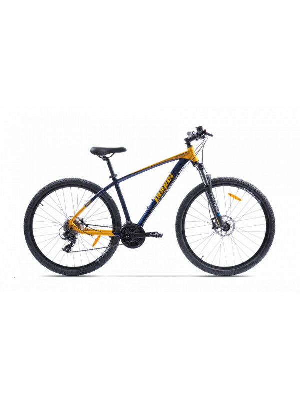 Drumet l 29'' albastru galben