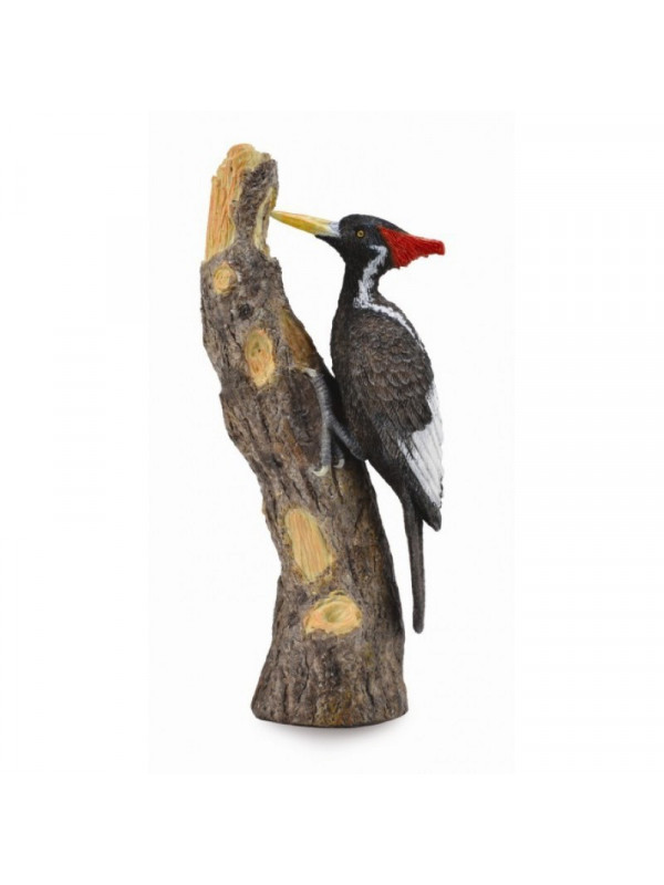 Figurina Ciocanitoare L Collecta, 4.3 x 10 cm