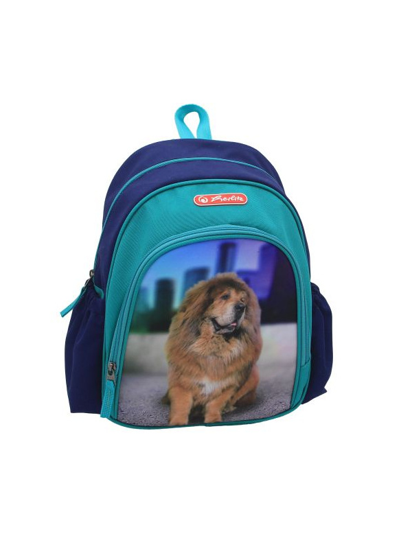 RUCSAC, COOL, DIMENSIUNE, 31X20X12 CM, MOTIV BOSS PHANTOM BLUE