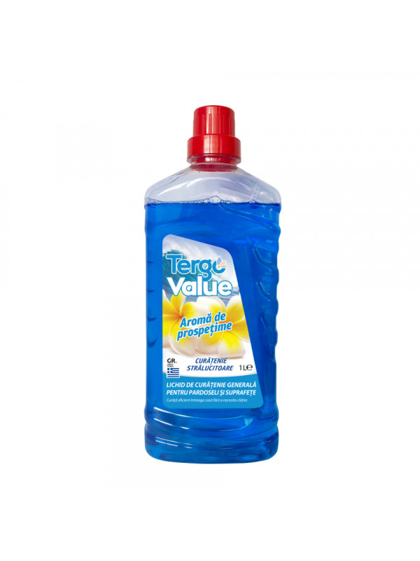 Solutie multi suprafete parfum fresh 1000ml TERGO