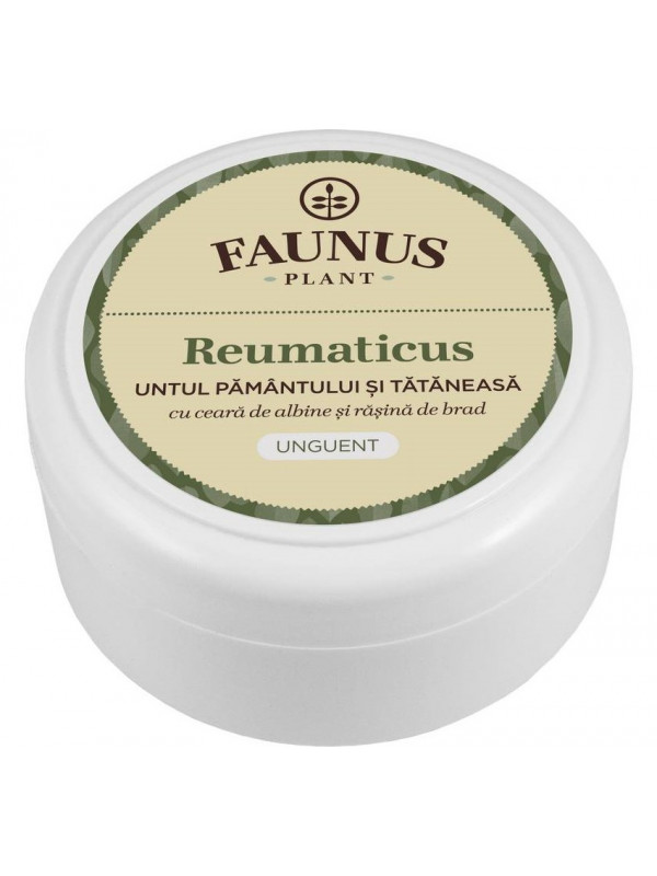 UNGUENT REUMATICUS 100ML (UNT.PAM.&TAT.)