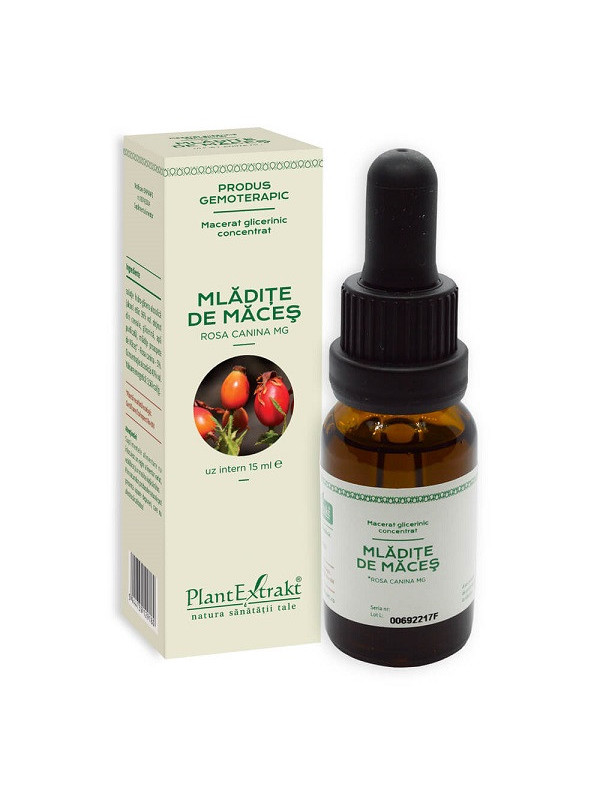 CONCENTRAT MLADITE MACES 15ML