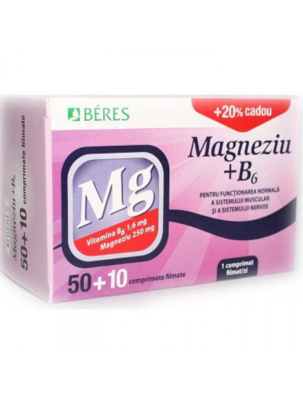 MAGNEZIU+B6 50+10CPR