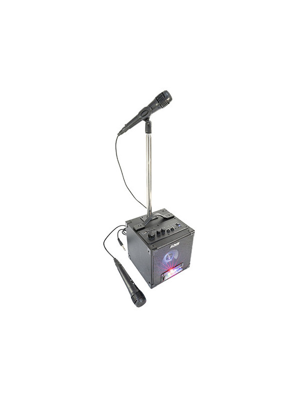 SET KARAOKE BOXA CU STATIV SI MICROFON