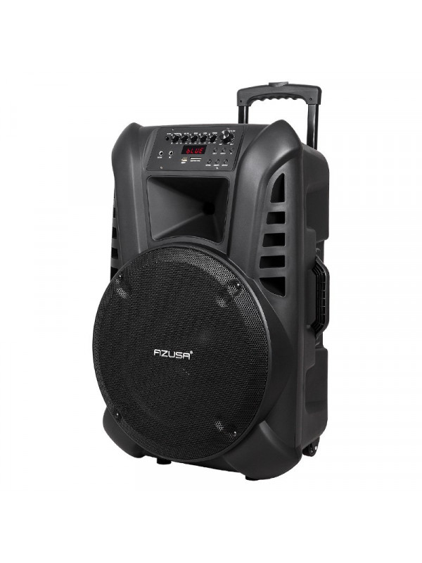 Sistem portabil sd bluetooth usb 15 inch 60w