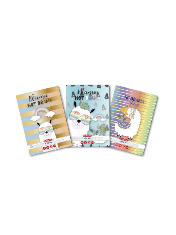 Caiet a5 48f patratele llama