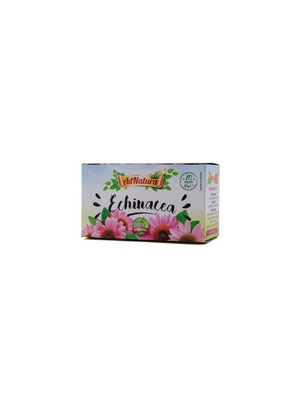 ECHINACEA 20DZ