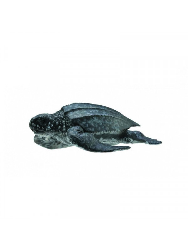 Figurina Broasca Testoasa de Mare M Collecta
