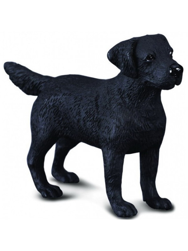 Figurina Labrador Retriever M Collecta