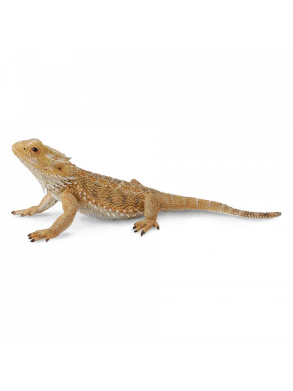 Figurina Soparla Dragon cu barba L Collecta