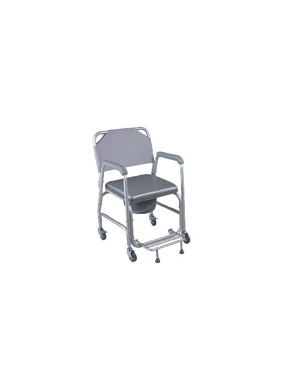 SCAUN DE TOALETA FS 699 L