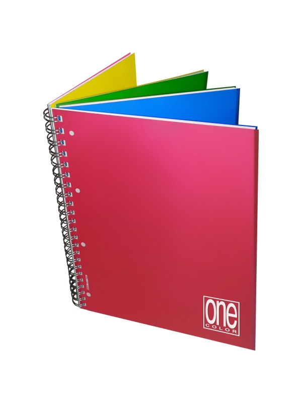 Caiet A4+ cu spirala - One Color 4x4, 80 g/m2, 120+4 pag., coperta PP (Matematica)