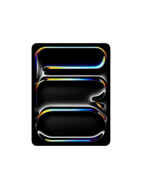 IPAD PRO 13 WF CL 2TB SP BLK-HCZ