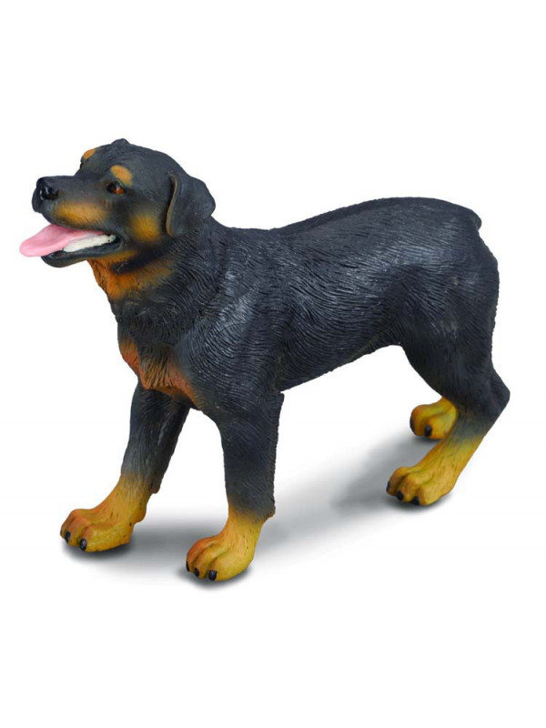 Rottweiler - Collecta