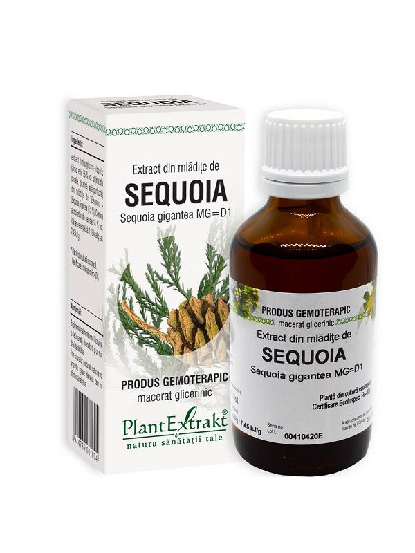 EXTRACT DIN MLADITE DE SEQUOIA 50ML