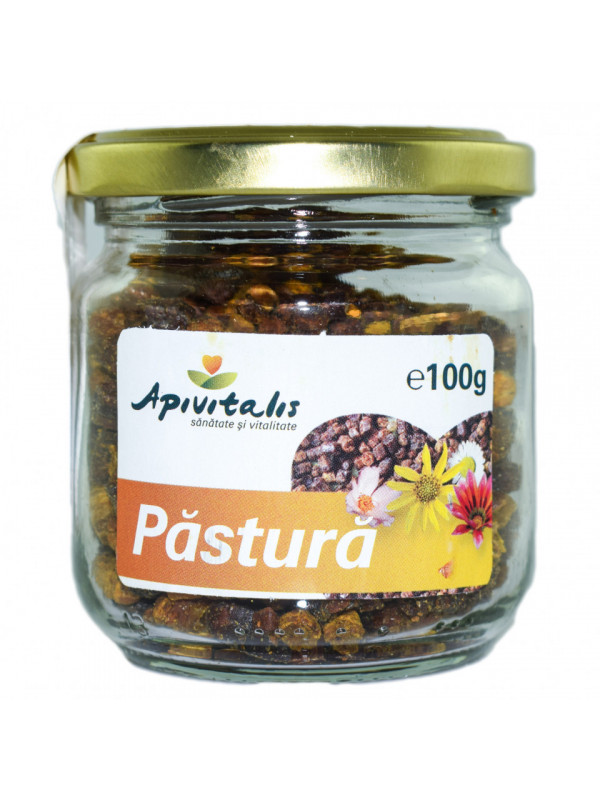 PASTURA 100g API VITALIS