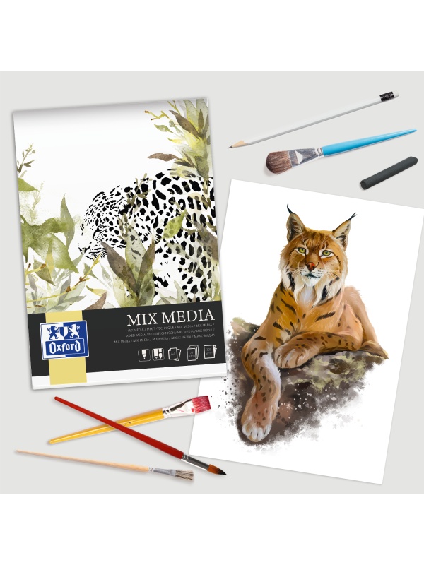 BLOC DESEN OXFORD MIX MEDIA A4, 25 FILE, HARTIE 225 G/MP, FSCÂ® MIX70%, COLECTIA ARTISTIC