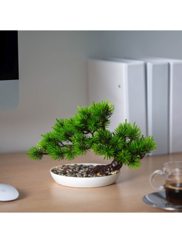Decor plante artificiale - pin negru japonez - 25 x 18 cm